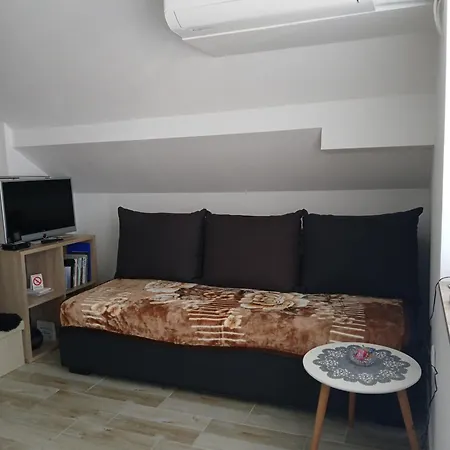 Apartment Mina Soko Banja